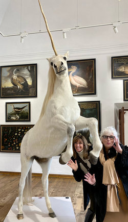 Hellbrunn Museum