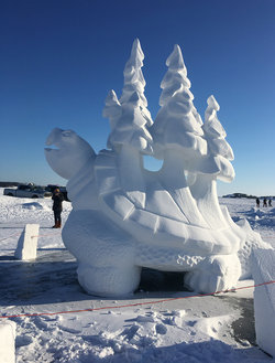 The Snowcastle