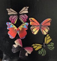 Butterfly Button