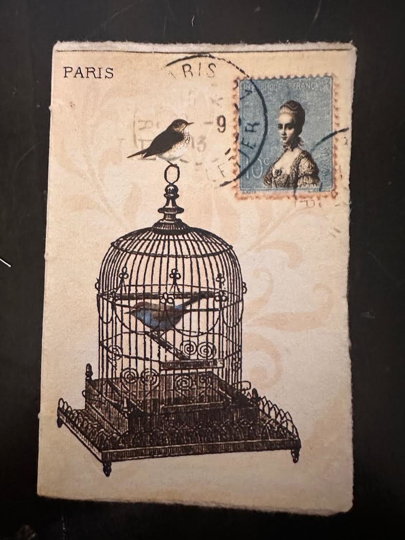 Paris Birdcage Handmade Paper Journal